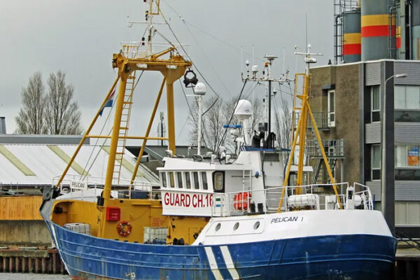 Own Fleet PT Suar Tujuh Samudera 3 Standby- and Guard Vessels