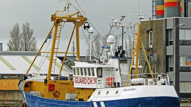 Own Fleet PT Suar Tujuh Samudera 3 Standby- and Guard Vessels